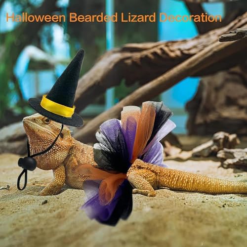 Ruwshuuk Bartagamen Kostüm - Hexenhüte & Röcke für Bartagamen | Reptilien Amphibien Kleintier Vogel Halloween Zubehör für Schildkröte Igel von Ruwshuuk