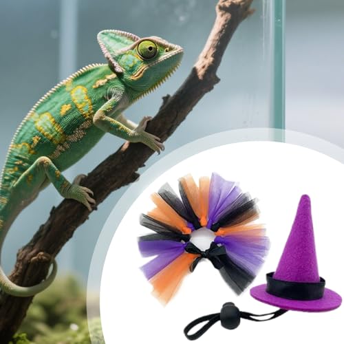 Ruwshuuk Bartagamen Kostüme | Halloween Bartagamen Hexenkostüm - Reptilien Amphibien Kleintier Vogel Halloween Zubehör für Schildkröte Igel Ruwshuuk Bartagamen Kostüme | Halloween Bartagamen Hexenkostüm - Reptilien Amphibien Kleintier Vogel Halloween Zubehör für Schildkröte Igel von Ruwshuuk