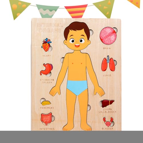 Ruyeiig Kinder Anatomie Spielzeug,Pädagogisches Holz Puzzle Vom Menschlichen Körper | Wissenschaftliches Spielzeug Für Kleinkinder Und Kinder Mädchen Kindergarten Schule Unterricht von Ruyeiig