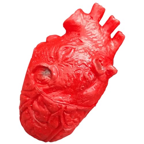 Rwigeboo Halloween Body Parts Realistic Heart Brain Body Parts Scary Halloween Props for Prank Party Haunted House Decoration, Heart Rwigeboo Halloween Body Parts Realistic Heart Brain Body Parts Scary Halloween Props for Prank Party Haunted House Decoration, Heart von Rwigeboo