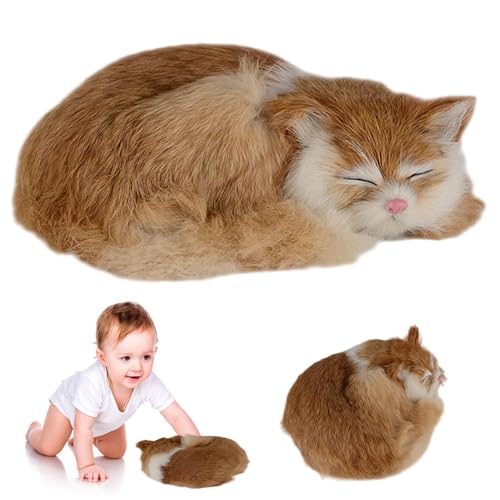 Rwigeboo Katze gefülltes Tier, realistisch lebhafte schlafende Plüschgefüllte Tierkatze, süßes weiches und Flauschiges Kätzchen zum Umarmen, Spielen und Schlafplüsch von Rwigeboo