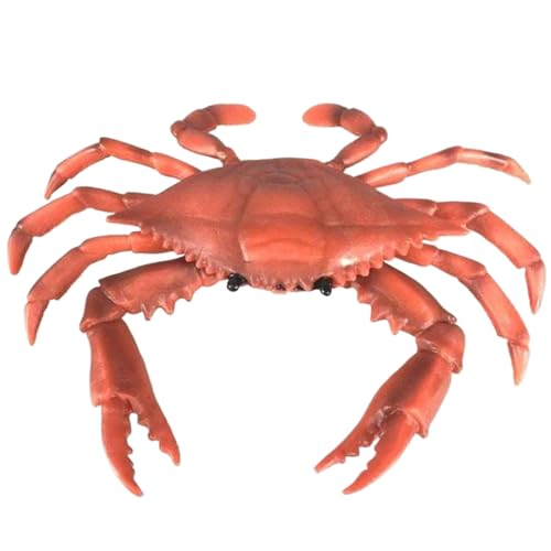 Rwigeboo Krabbenspielzeug, realistisches Plastikkrabbendekor, Lernspielzeug für Kinder 3+, Desktop -Dekoration Rwigeboo Krabbenspielzeug, realistisches Plastikkrabbendekor, Lernspielzeug für Kinder 3+, Desktop -Dekoration von Rwigeboo