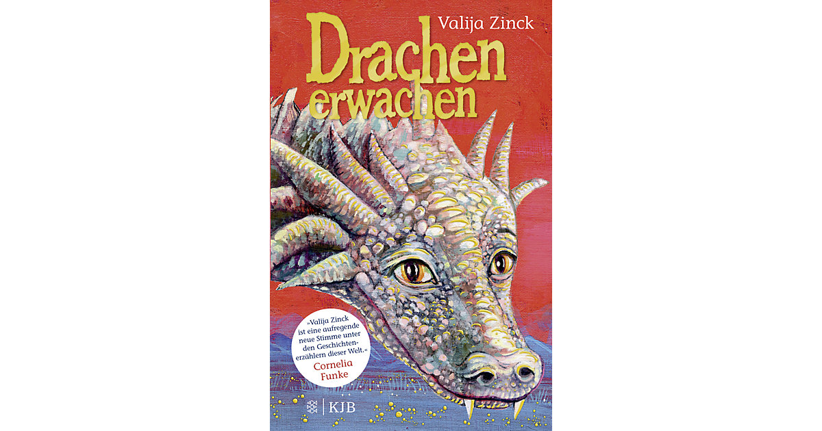 Buch - Drachenerwachen Buch - Drachenerwachen von S. Fischer Verlag