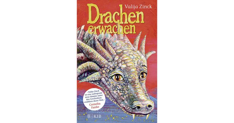 Buch - Drachenerwachen von S. Fischer Verlag