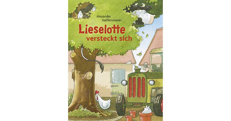 Buch - Lieselotte versteckt sich von Sauerländer Verlag
