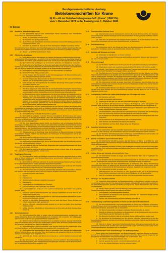 SafetyMarking 43.2936 Aushang Berufsgenossenschaft Betriebsvorschriften für Krane Kunststoff (B x H von SAFETYMARKING