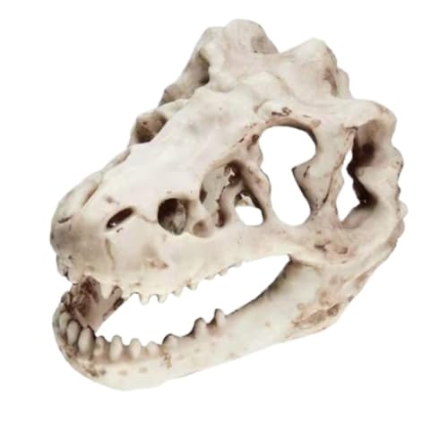 Anatomie Modell Dinosaurier-Schädel-Modell, Simuliertes Dekor For Den Anatomie-Unterricht Demonstration Werkzeug von SAGELSHN