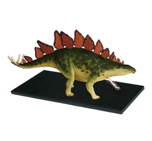 Anatomie Modell Stegosaurus-Anatomiemodell, 4D-Vision-Puzzle, Zusammenbau, Abnehmbar, 39 Teile Für Die Medizinische Lehre Demonstration Werkzeug von SAGELSHN