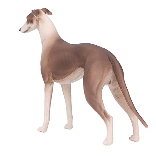 SALALIS Windhund-Modell, stimuliert die Neugier, interessante Texturen, Modell Windhunde, Spielzeug für 3 Jahre und älter, für das Büro von SALALIS