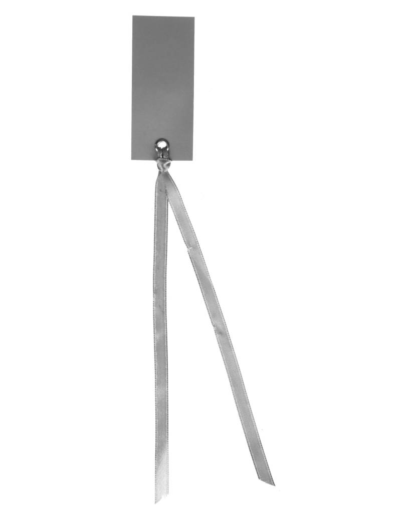 12 Platzkarten rechteckig mit grauem Band 3 x 7 cm für Hochzeiten von SANTEX
