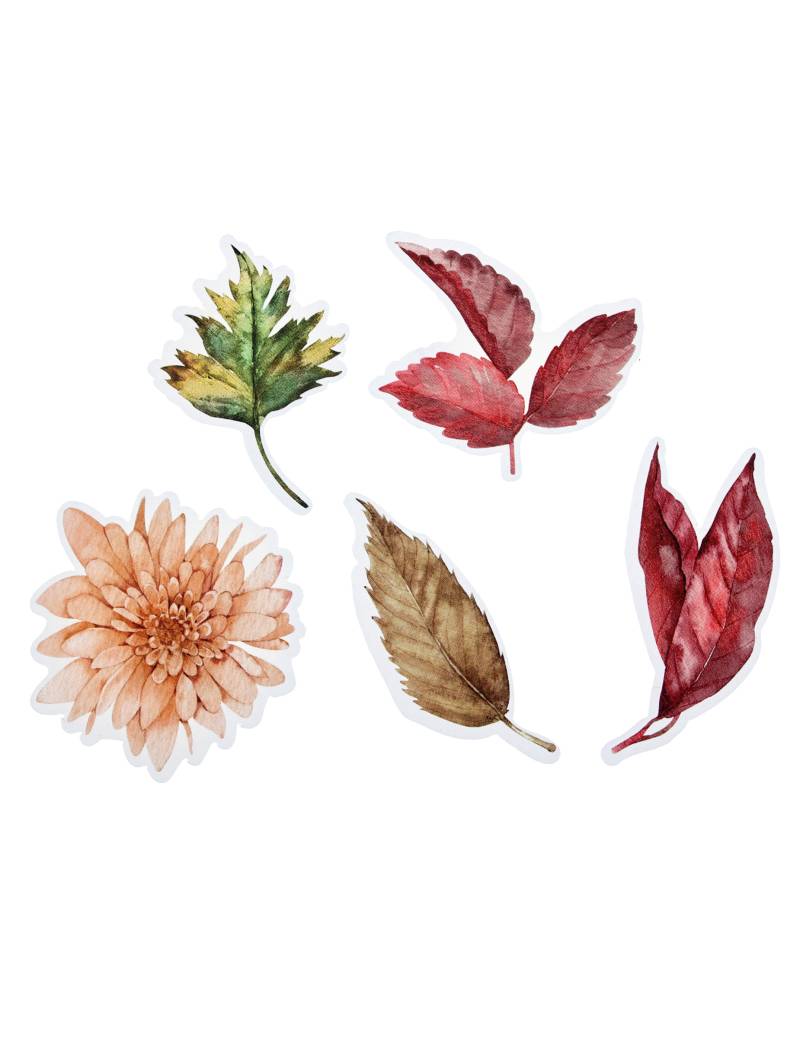 25 Herbst-Streudeko Floral 5 x 4,5 cm und 5 x 5,2 cm 25 Herbst-Streudeko Floral 5 x 4,5 cm und 5 x 5,2 cm von SANTEX
