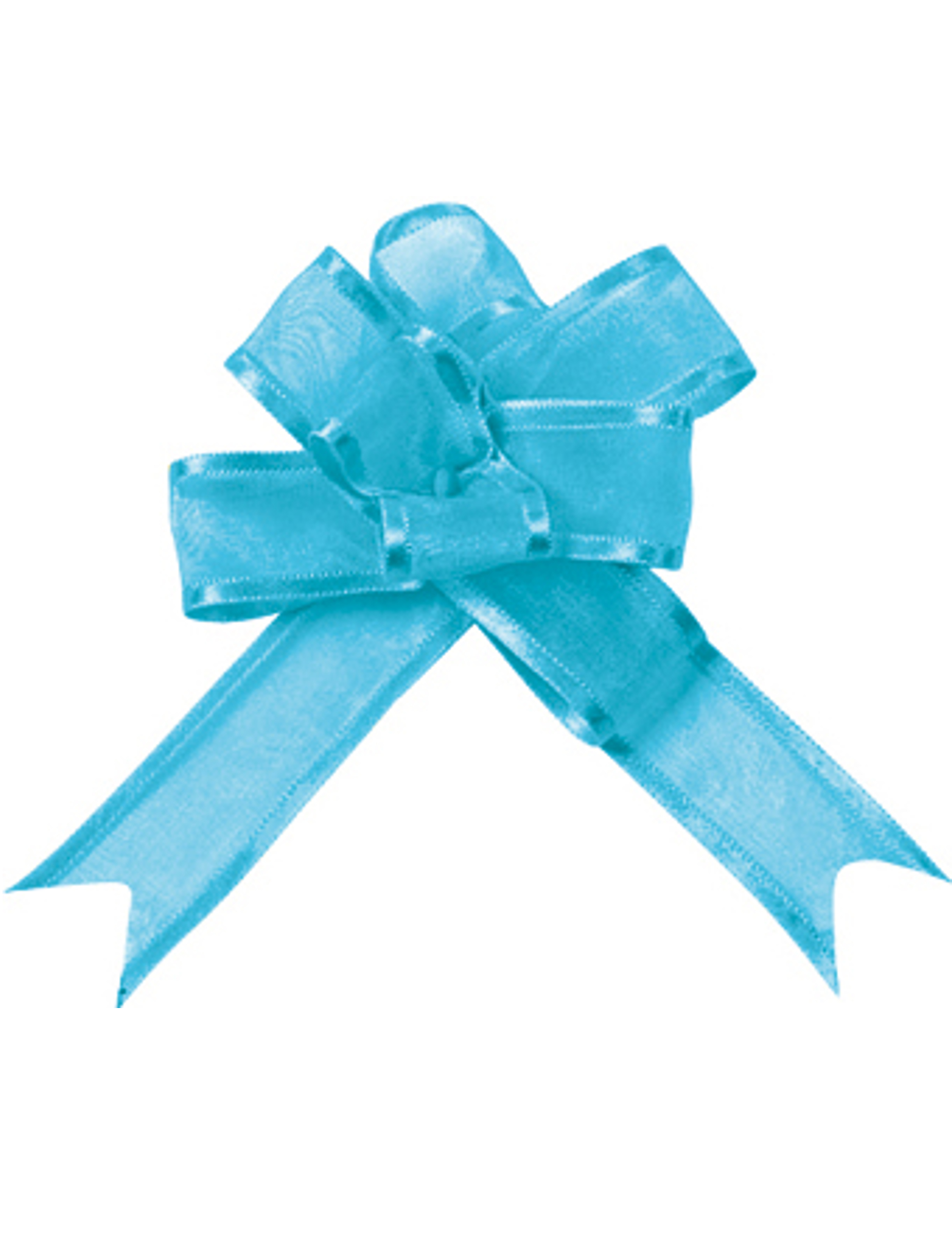 5 Mini Schleifen Organza Türkis 16 mm 5 Mini Schleifen Organza Türkis 16 mm von SANTEX