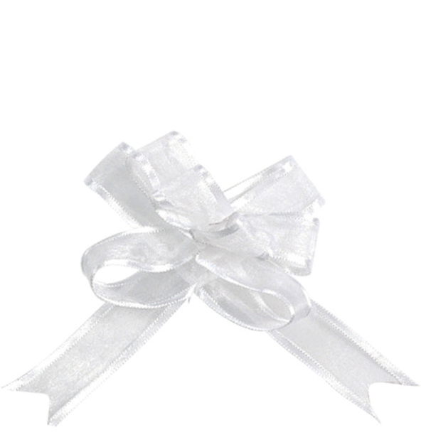 5 Mini-Schleifen Organza Weiß 16 mm 5 Mini-Schleifen Organza Weiß 16 mm von SANTEX