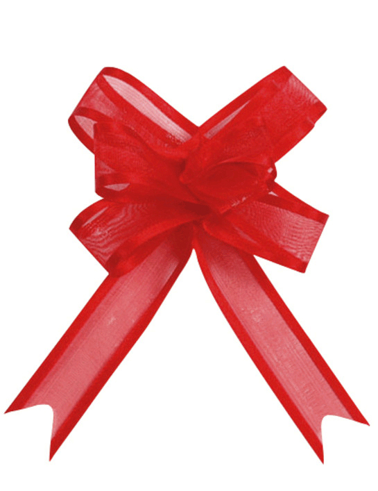Festliche Tischdekoration Mini-Schleifen 5 Stück rot Festliche Tischdekoration Mini-Schleifen 5 Stück rot von SANTEX