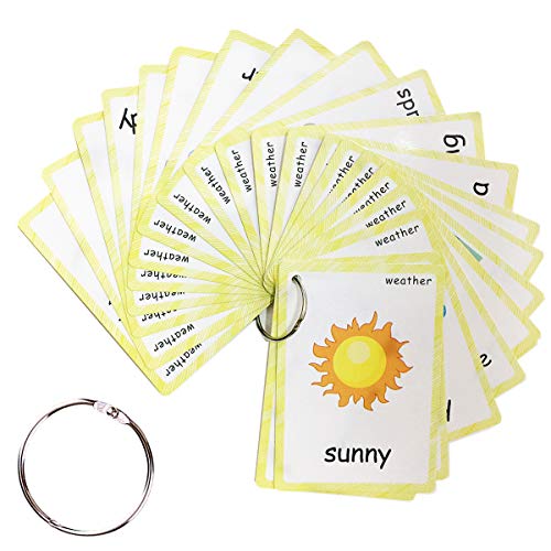 SANTSUN Wetterkarteikarten-Set – Klassenzimmer-Dekorationen, Kindergarten-Lehrer-Werkzeuge, pädagogische Bild- und Wortkarten für Kinder, Jungen, Mädchen, frühes Lernen SANTSUN Wetterkarteikarten-Set – Klassenzimmer-Dekorationen, Kindergarten-Lehrer-Werkzeuge, pädagogische Bild- und Wortkarten für Kinder, Jungen, Mädchen, frühes Lernen von SANTSUN