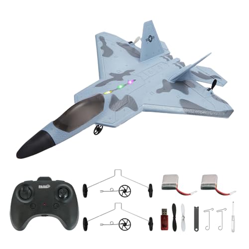 SAYZON RC-Flugzeug F22 Raptor Modell 2CH LED RTF P530 RC Jet für Jungen Outdoor 2,4 GHz RC-Flugzeug Segelflugzeug mit 2 Batterien von SAYZON