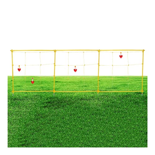 SBJKLYRN Team-Building-Requisiten， Teambuilding-Spiele for die Arbeit, Teamwork-Rasenspiele im Freien, Spiele-Kits for den Schulsporttag(Style 2,150x450cm) von SBJKLYRN