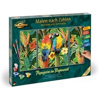 SCHIPPER 609260853 Malen nach Zahlen - Papageien im Regenwald SCHIPPER 609260853 Malen nach Zahlen - Papageien im Regenwald von SCHIPPER