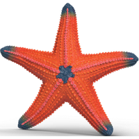 SCHLEICH 14902 Seestern mit Farbwechsel von SCHLEICH® WILD LIFE