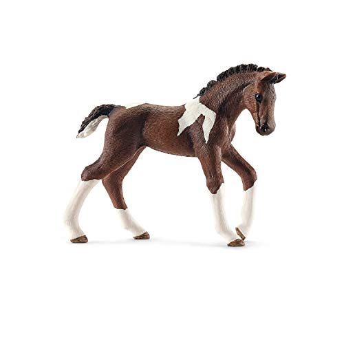 schleich 13758 Trakehner Fohlen, ab 3 Jahren, FARM WORLD - Spielfigur, 2 x 9 x 7 cm schleich 13758 Trakehner Fohlen, ab 3 Jahren, FARM WORLD - Spielfigur, 2 x 9 x 7 cm von SCHLEICH