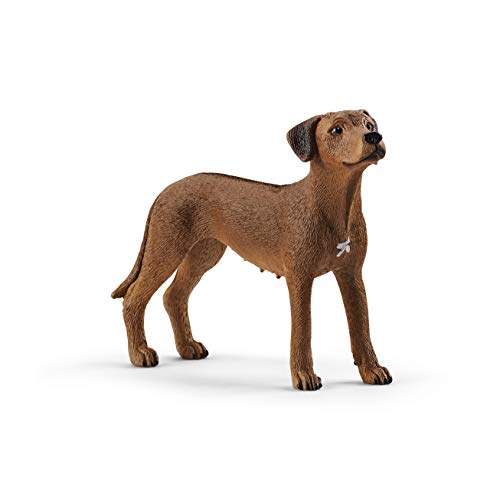 SCHLEICH 13895 Rhodesian Ridgeback, für Kinder ab 3+ Jahren, Farm World - Spielfigur von SCHLEICH