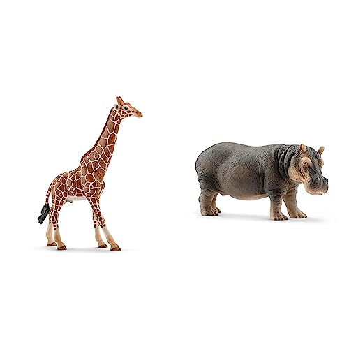 SCHLEICH 14749 Giraffenbulle, für Kinder ab 3+ Jahren, WILD Life - Spielfigur & 14814 Hippopotamus von SCHLEICH