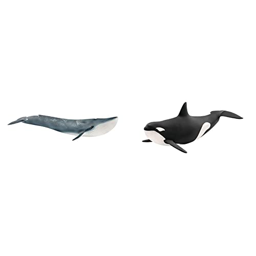 SCHLEICH 14806 Blauwal, für Kinder ab 3+ Jahren, WILD Life - Spielfigur & 14807 Orka, für Kinder ab 3+ Jahren, WILD Life - Spielfigur SCHLEICH 14806 Blauwal, für Kinder ab 3+ Jahren, WILD Life - Spielfigur & 14807 Orka, für Kinder ab 3+ Jahren, WILD Life - Spielfigur von SCHLEICH