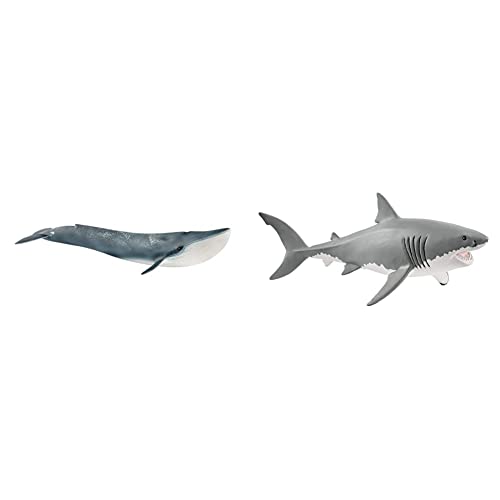 SCHLEICH 14806 Blauwal, für Kinder ab 3+ Jahren, WILD Life - Spielfigur & 14809 Weißer Hai, für Kinder ab 3+ Jahren, WILD Life - Spielfigur von SCHLEICH