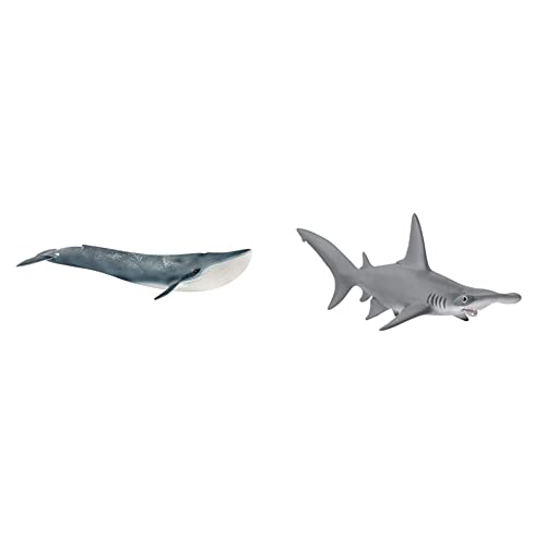 SCHLEICH 14806 Blauwal, für Kinder ab 3+ Jahren, WILD Life - Spielfigur & 14835 Hammerhai, für Kinder ab 3+ Jahren, WILD Life - Spielfigur SCHLEICH 14806 Blauwal, für Kinder ab 3+ Jahren, WILD Life - Spielfigur & 14835 Hammerhai, für Kinder ab 3+ Jahren, WILD Life - Spielfigur von SCHLEICH