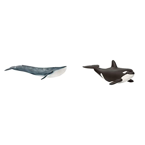 SCHLEICH 14806 Blauwal, für Kinder ab 3+ Jahren, WILD Life - Spielfigur & 14836 Orka Junges, für Kinder ab 3+ Jahren, WILD Life - Spielfigur SCHLEICH 14806 Blauwal, für Kinder ab 3+ Jahren, WILD Life - Spielfigur & 14836 Orka Junges, für Kinder ab 3+ Jahren, WILD Life - Spielfigur von SCHLEICH