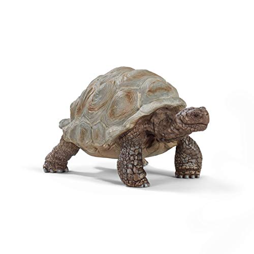 schleich WILD LIFE | Riesenschildkröte 14824 | detailgetreue Tierfiguren | Zoo Spielzeug | tolles Geschenk für Jungen und Mädchen | Deko für Geburtstag | Spielfigur ab 3 Jahren | 8 x 4 x 4 cm von SCHLEICH