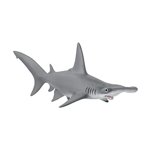 schleich WILD LIFE | Hammerhai 14835 | detailgetreue Tierfiguren | Zoo Spielzeug | tolles Geschenk für Jungen und Mädchen | Deko für Geburtstag | Spielfigur ab 3 Jahren | 17 x 7 x 6 cm schleich WILD LIFE | Hammerhai 14835 | detailgetreue Tierfiguren | Zoo Spielzeug | tolles Geschenk für Jungen und Mädchen | Deko für Geburtstag | Spielfigur ab 3 Jahren | 17 x 7 x 6 cm von SCHLEICH
