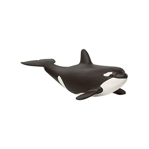 SCHLEICH 14836 Orka Junges, für Kinder ab 3+ Jahren, WILD Life - Spielfigur SCHLEICH 14836 Orka Junges, für Kinder ab 3+ Jahren, WILD Life - Spielfigur von SCHLEICH