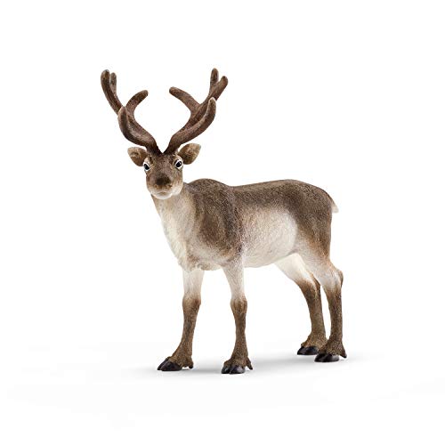 schleich WILD LIFE | Rentier 14837 | detailgetreue Tierfiguren | Zoo Spielzeug | tolles Geschenk für Jungen und Mädchen | Deko für Geburtstag | Spielfigur ab 3 Jahren | 13 x 6 x 12 cm schleich WILD LIFE | Rentier 14837 | detailgetreue Tierfiguren | Zoo Spielzeug | tolles Geschenk für Jungen und Mädchen | Deko für Geburtstag | Spielfigur ab 3 Jahren | 13 x 6 x 12 cm von SCHLEICH