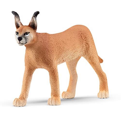 schleich 14867 Karakal Weibchen , für Kinder ab 3+ Jahren, WILD LIFE - Spielfigur von SCHLEICH