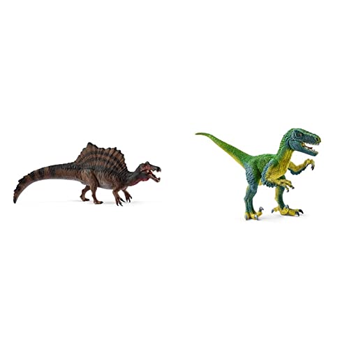 SCHLEICH 15009 Spinosaurus,Multicoloured,40 x 9.50 x 11.10 cm & 14585 Velociraptor, Multicolor, 18 x 6.3 x 10.3 cm von SCHLEICH