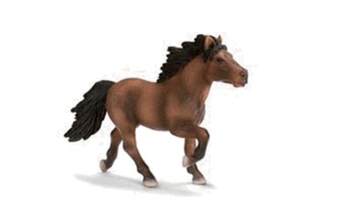 SCHLEICH Islandpferd braun - Schleich World of Nature - Horses - Figur - Pferde-Figur SCHLEICH Islandpferd braun - Schleich World of Nature - Horses - Figur - Pferde-Figur von SCHLEICH