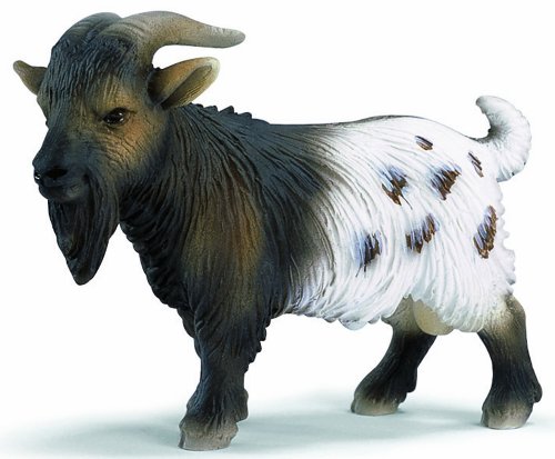 Schleich 13602 - Bauernhof, Zwergziegenbock Schleich 13602 - Bauernhof, Zwergziegenbock von SCHLEICH