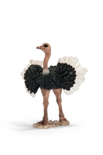 Schleich 14610 - Straußenmännchen Schleich 14610 - Straußenmännchen von SCHLEICH