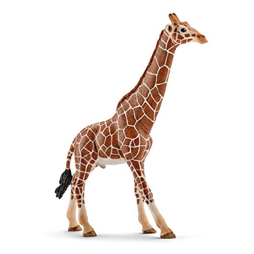 schleich 14749 Giraffenbulle, für Kinder ab 3+ Jahren, WILD LIFE - Spielfigur von SCHLEICH