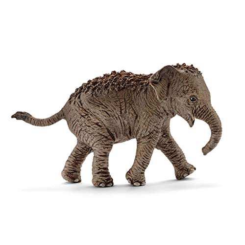 schleich 14755 Asiatisches Elefantenbaby, ab 3 Jahren, WILD LIFE - Spielfigur, 9 x 3 x 5 cm von SCHLEICH