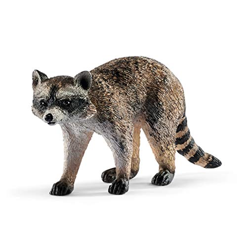 schleich 14828 Waschbär, für Kinder ab 3+ Jahren, WILD LIFE - Spielfigur von SCHLEICH