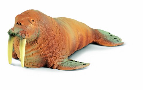 Schleich 16080 - Wild Life, Walross Schleich 16080 - Wild Life, Walross von SCHLEICH