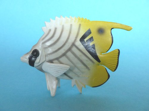 Schleich 16252 - Fähnchen-Falterfisch Schleich 16252 - Fähnchen-Falterfisch von SCHLEICH