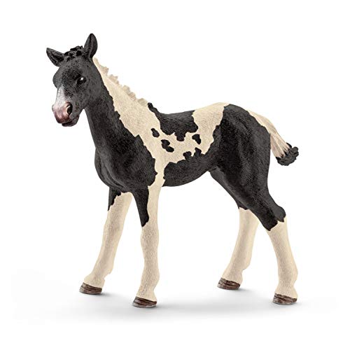 SCHLEICH 13803 Pinto Fohlen, für Kinder ab 3+ Jahren, Farm World - Spielfigur SCHLEICH 13803 Pinto Fohlen, für Kinder ab 3+ Jahren, Farm World - Spielfigur von SCHLEICH