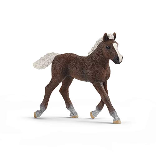 schleich 13899 Schwarzwälder Fohlen, für Kinder ab 3+ Jahren, FARM WORLD - Spielfigur schleich 13899 Schwarzwälder Fohlen, für Kinder ab 3+ Jahren, FARM WORLD - Spielfigur von SCHLEICH