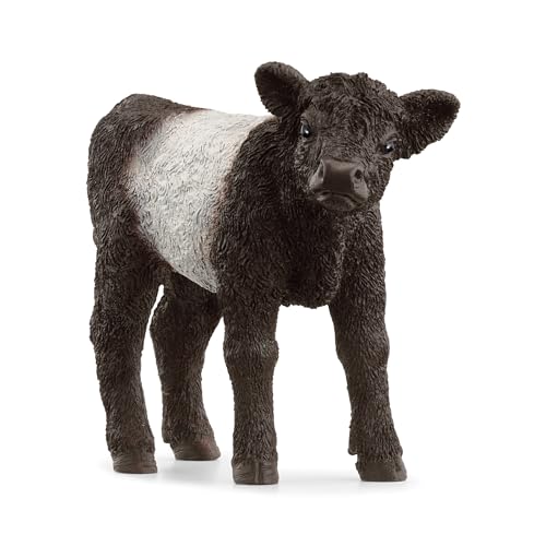 schleich 13969 Galloway Kalb, ab 3 Jahren, FARM WORLD - Spielfigur, 3 x 8 x 6 cm, Schwarz schleich 13969 Galloway Kalb, ab 3 Jahren, FARM WORLD - Spielfigur, 3 x 8 x 6 cm, Schwarz von SCHLEICH