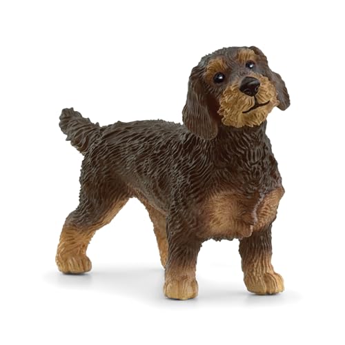 schleich 13972 Rauhaardackel, ab 3 Jahren, FARM WORLD - Spielfigur, 2 x 7 x 4 cm, Braun schleich 13972 Rauhaardackel, ab 3 Jahren, FARM WORLD - Spielfigur, 2 x 7 x 4 cm, Braun von SCHLEICH