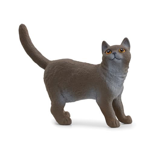 schleich 13973 Britische Kurzhaar Katze, ab 3 Jahren, FARM WORLD - Spielfigur, 2 x 6 x 4 cm von SCHLEICH