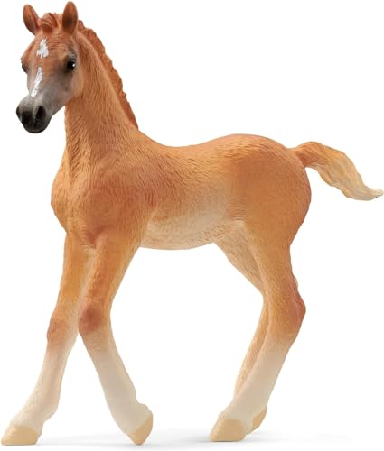 SCHLEICH 13984 Araber Fohlen, ab 5 Jahren, Horse Club - Spielfigur, 2 x 8 x 8 cm SCHLEICH 13984 Araber Fohlen, ab 5 Jahren, Horse Club - Spielfigur, 2 x 8 x 8 cm von SCHLEICH